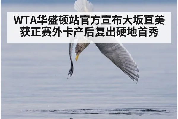 WTA华盛顿站官方宣布大坂直美获正赛外卡产后复出硬地首秀