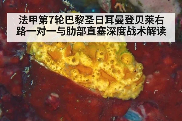 法甲第7轮巴黎圣日耳曼登贝莱右路一对一与肋部直塞深度战术解读